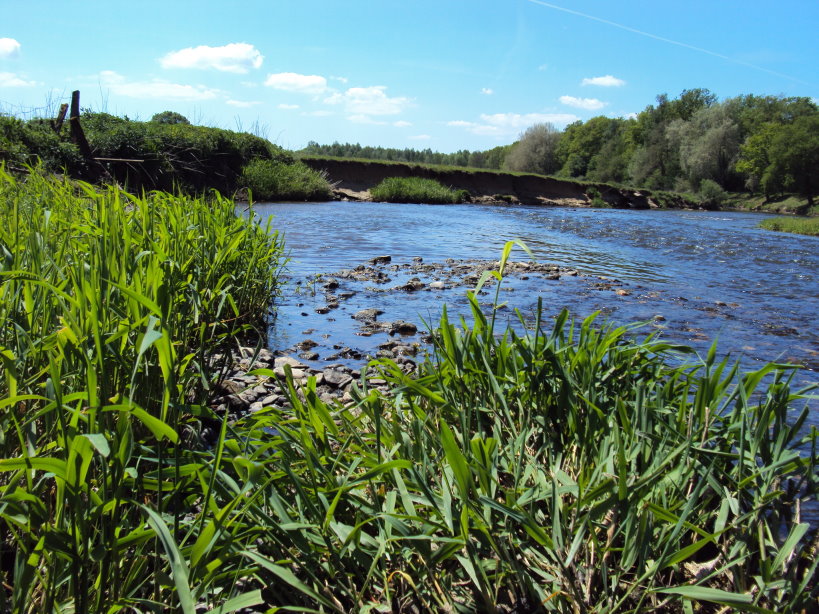 mouzon entre meuse et chier1994.jpg